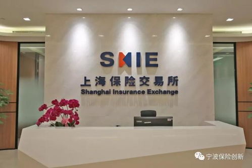 上海保交所科技公司正式落戶寧波，開啟科技中介服務新篇章